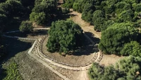 Di tempat ketiga ada Pohon Zaitun Luras yang berusia 1.000 tahun di Sardinia, Italia. Diperkirakan berusia antara 3.000 dan 4.000 tahun, pohon ini merupakan salah satu spesimen tertua dari pohon zaitun liar di pulau ini (Foto: Tree of The Year)