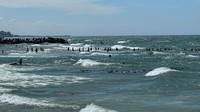 Paket bantuan itu terjatuh di tengah laut, warga harus menantang arus dan ombak laut untuk mengambil bantuan kemanusiaan itu.