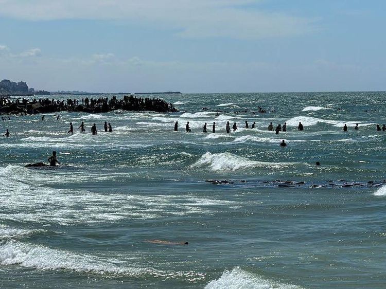 Potret Warga Gaza Bertaruh Nyawa demi Ambil Bantuan di Tengah Laut