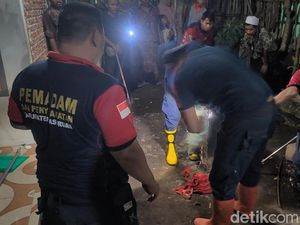 Detik-detik Ular Kobra Serang Mata Riski hingga Nyaris Buta