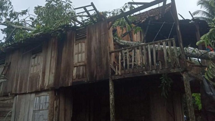 Rumah milik Jumadi yang dihuni 5 orang rusak berat tertimpa pohon.