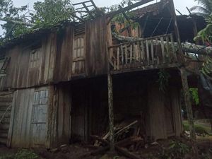 Hujan Deras-Angin Kencang di OKU Selatan, Rumah Jumadi Rusak Tertimpa Pohon