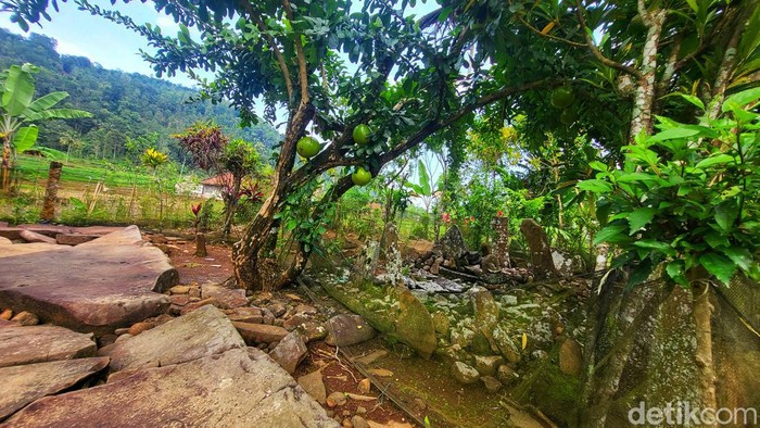 Situs Salak Datar di Desa Cimaja, lokasinya tersembunyi diantara permukman warga dan area perbukitan kawasan TNG Halimun-Salak