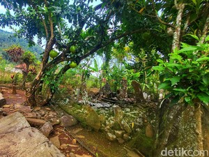Sisa-sisa Peradaban Sunda Kuno yang Ditemukan Belanda di Sukabumi