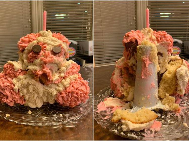 Gagal Total! 10 Kreasi Kue Rumahan Ini Tampilannya Amburadul