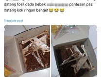 Apes! Pesan Bebek Remuk, yang Datang Malah Fosil Bebek