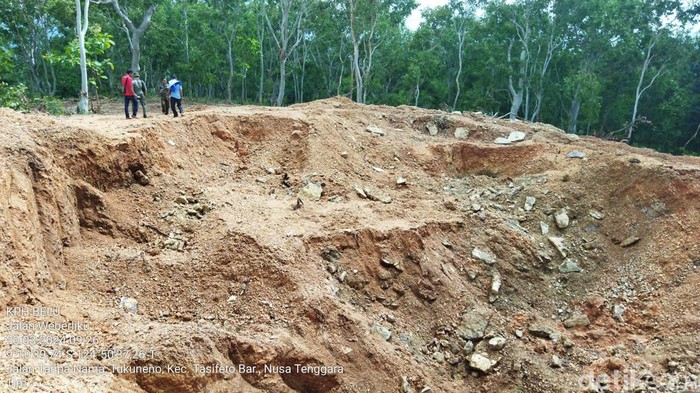 Kondisi hutan lindung Bifemnasi Sonmahole di Dusun Weberliku dan Dusun Bubur Lulik, Desa Tukuneno, Kecamatan Tasifeto Barat, Kabupaten Belu, NTT.
