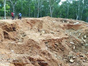 PMKRI Tuding Kapolres Belu Rambah Hutan Lindung Bifemnasi Sonmahole
