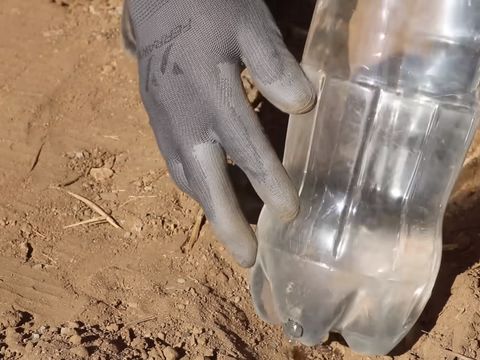 Melubangi bawah botol bekas dan menutupi dengan tanah.