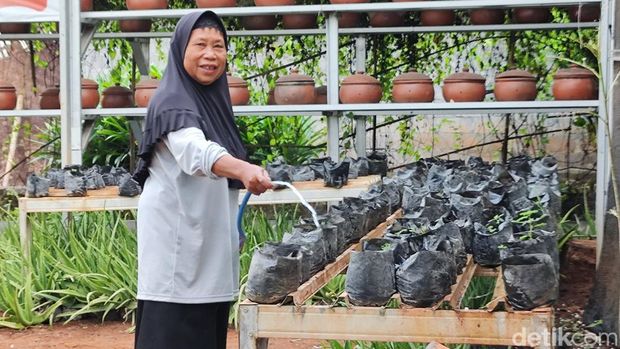 Aktivitas lansia di Pos Lansia di Padukuhan Jetis Kulon, Kalurahan Pacarejo, Kapanewon Semanu, Kabupaten Gunungkidul.