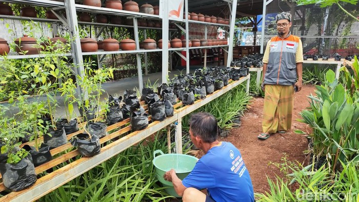 Aktivitas lansia di Pos Lansia di Padukuhan Jetis Kulon, Kalurahan Pacarejo, Kapanewon Semanu, Kabupaten Gunungkidul.