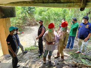Ribuan Bangkai Ayam di Sungai Mura Ternyata Sengaja Dibuang Pemilik