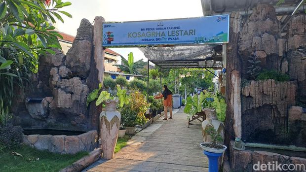 Urban Farming yang dikelola warga Medokan Ayu Surabaya