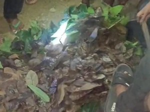 Kisah Viral Rosdiana Dilamar dengan Mahar Sekoper Uang Ternyata Berisi Daun