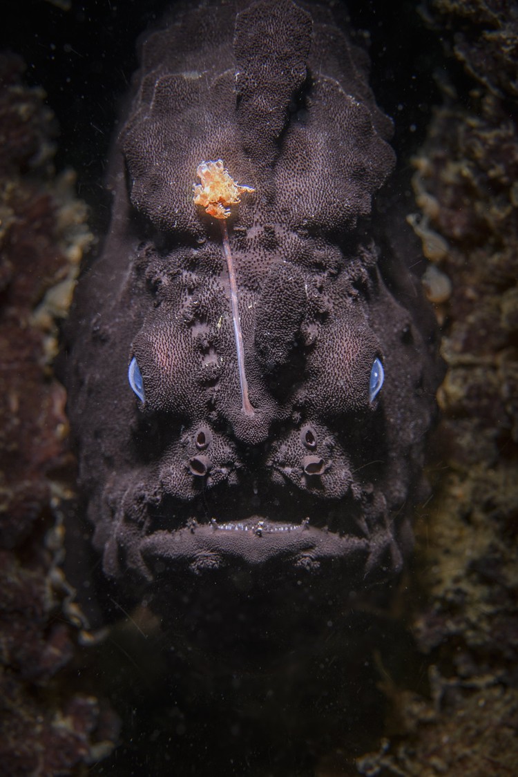 World Nature Photography Awards 2024