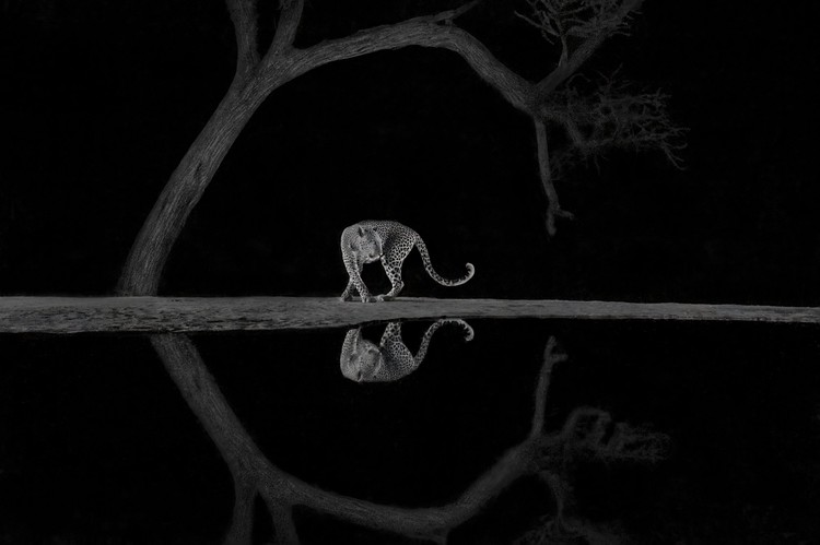 World Nature Photography Awards 2024