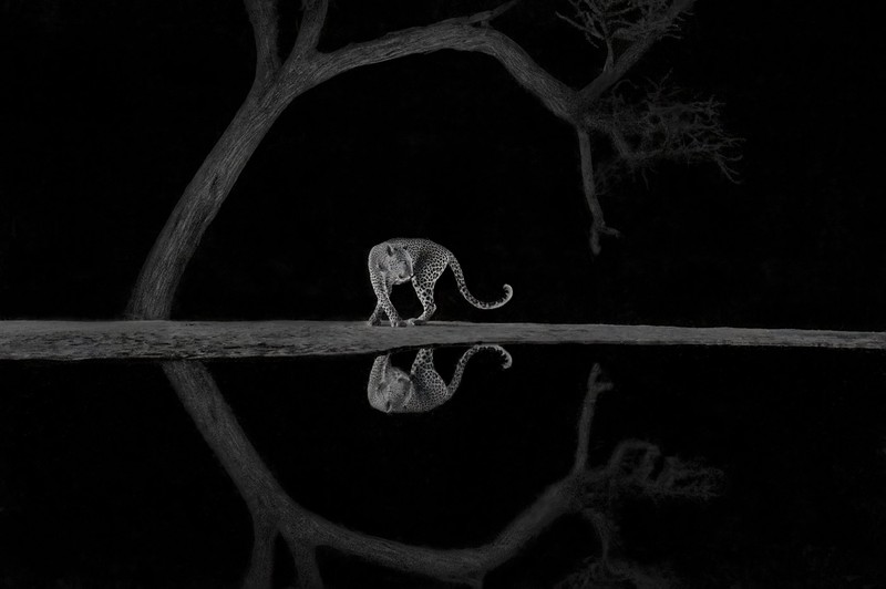 World Nature Photography Awards 2024