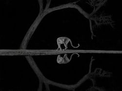 Karya Spektakuler Kontes Foto Alam yang Menyihir Mata