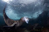 World Nature Photography Awards 2024