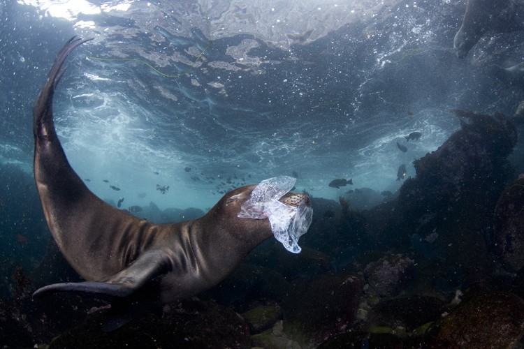 World Nature Photography Awards 2024