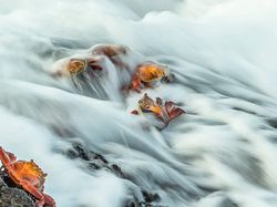 Karya Spektakuler Kontes Foto Alam yang Menyihir Mata