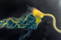 World Nature Photography Awards 2024