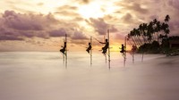 World Nature Photography Awards 2024