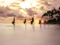 Karya Spektakuler Kontes Foto Alam yang Menyihir Mata