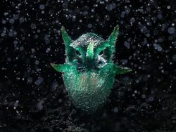 Karya Spektakuler Kontes Foto Alam yang Menyihir Mata