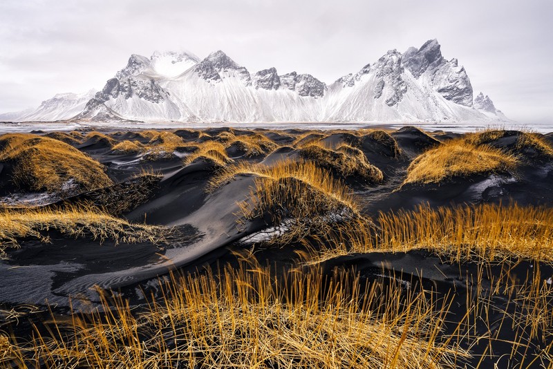World Nature Photography Awards 2024