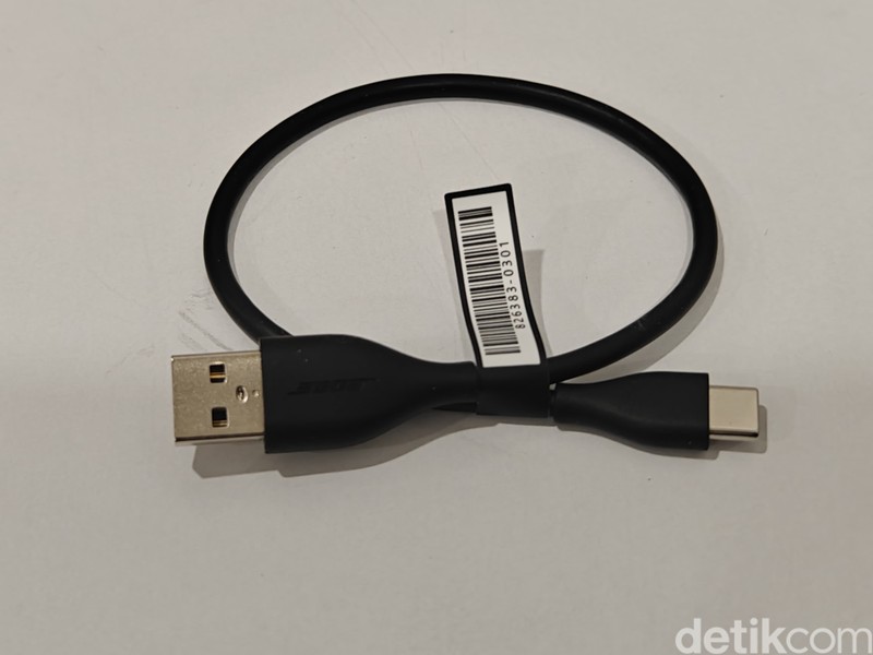 Bose Ultra Open Earbuds