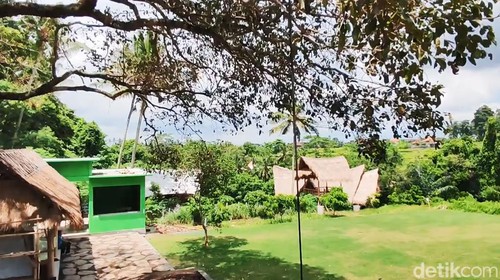 Kawasan desa Wisata Alas Arum di Desa Lodtunduh, Ubud, Gianyar, Bali, sebagai habitat keker Bali, Minggu (31/3/2024). (Putu Krista/detikBali).