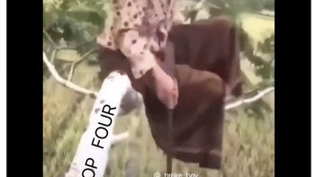 MU yang bikin sulit dirinya sendiri. Foto: X