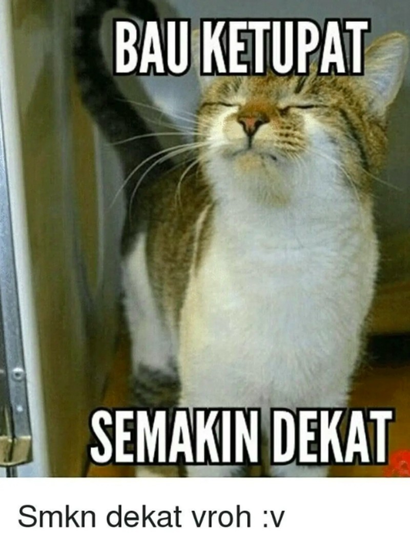 Alhamdulillah, lebaran sebentar lagi, nih. Kamu sudah tukar uang baru belum untuk dibagikan ke para bocil? Semoga rezekinya dilancarkan, amin!