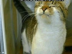 Meme Tanda Lebaran Sudah Dekat, Bocil Siap-siap Berburu THR