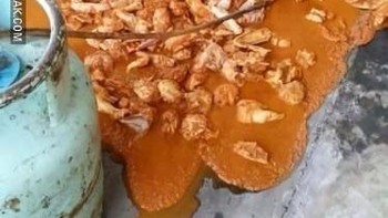 Apa jadinya Hari Raya tanpa opor? Ada yang kurang, bro. Foto: 1cak