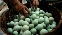 Produsen menyebutkan selama Ramadhan hingga Lebaran diperkirakan produksi telur asin yang dijual Rp5.500 hingga Rp6.000 itu meningkat hingga tiga kali lipat dari biasanya 20.000 menjadi 60.000 butir per hari seiring permintaan jelang arus mudik dan arus balik.