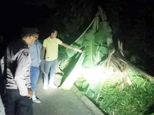 Siswa SD Purbalingga Tewas Tersambar Petir Saat Bermain di Sawah