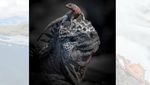 Karya Hebat World Nature Photography Awards 2024