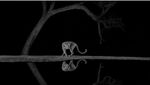 Karya Hebat World Nature Photography Awards 2024