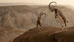 Karya Hebat World Nature Photography Awards 2024