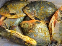 Gurihnya Bawal Presto Prambanan Klaten, Laris Manis Saat Ramadan