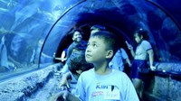Hal ini merupakan wujud nyata kelembutan kasih sayang dan perhatian yang diberikan SoKlin Softergent kepada anak-anak agar terus semangat dalam menuntut ilmu dan mengejar cita-citanya.  