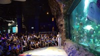 SoKlin Softergent Berbagi Kelembutan digelar di SeaWorld Jakarta bersama Sekolah Bingkai Jalanan, Kids Fun Yogyakarta dan Sekolah Gajah Wong. SoKlin Softergent juga mendonasikan kebutuhan pendidikan bagi anak-anak secara langsung.
