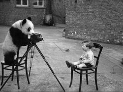 Foto Sejarah Menangkap Momen Mencengangkan