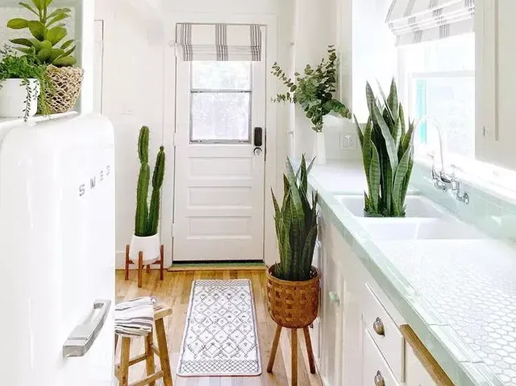 Inspirasi Karpet di Depan Pintu Masuk Biar Rumah Makin Cantik