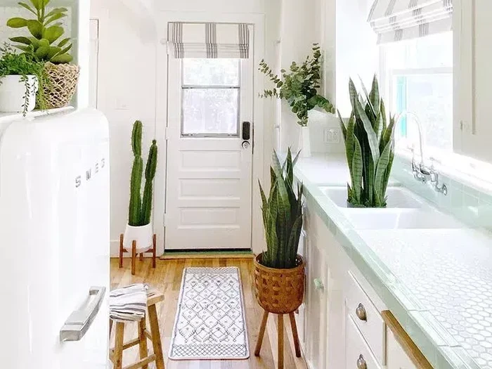 Karpet di area masuk rumah