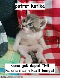 Pasti waktu kecil kamu merasakan serunya kegiatan berburu THR. Kalau sekarang sih sudah besar, jadinya kamu yang harus berbagi, hihi.