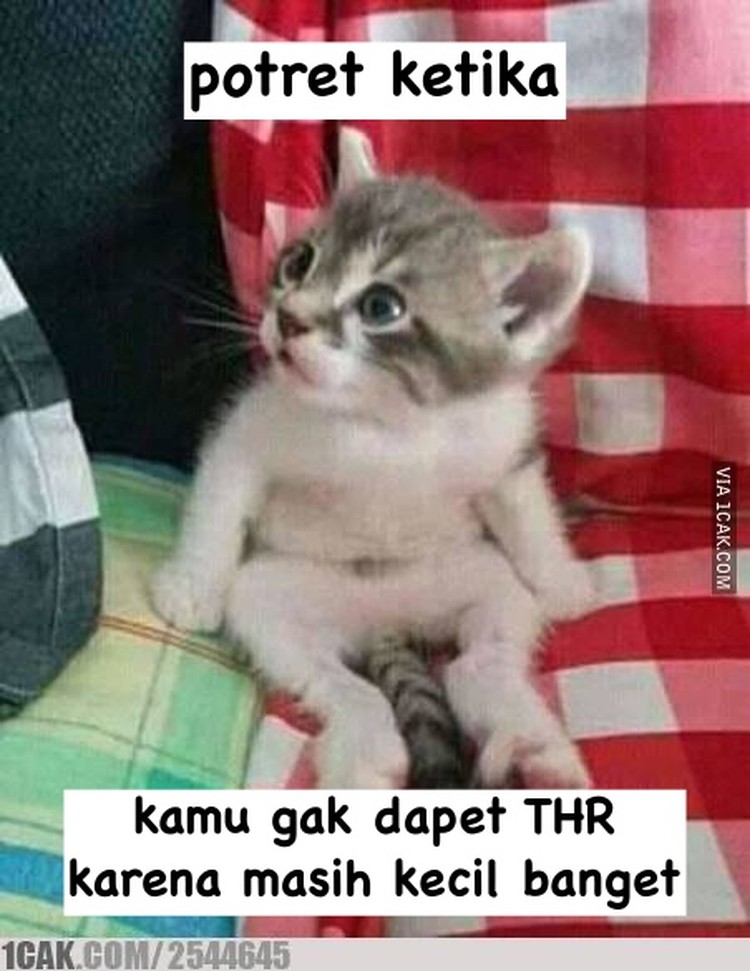 Pasti waktu kecil kamu merasakan serunya kegiatan berburu THR. Kalau sekarang sih sudah besar, jadinya kamu yang harus berbagi, hihi.