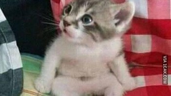 Sudah gede nggak dapet, kekecilan juga nggak dapet. Foto: 1cak